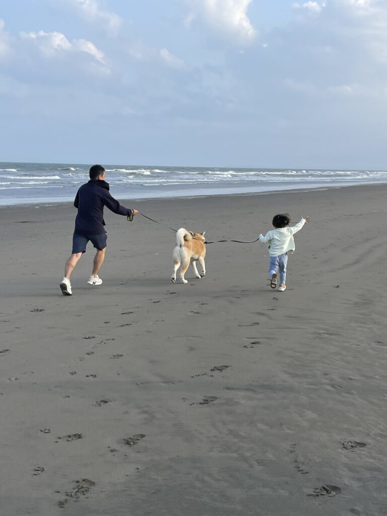秋田犬とお散歩体験

