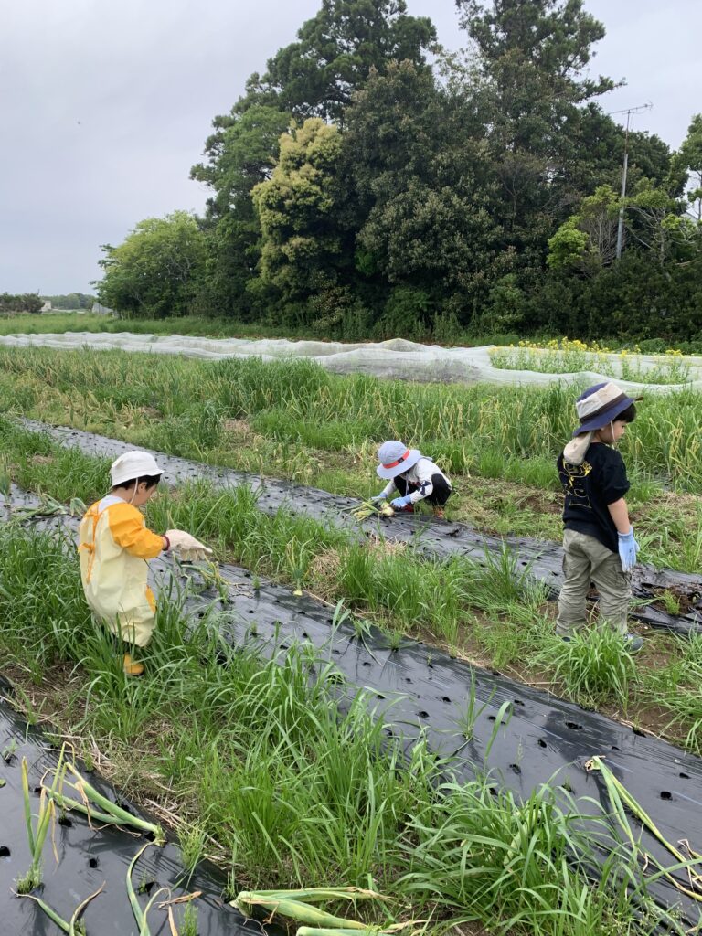 子供と農業体験