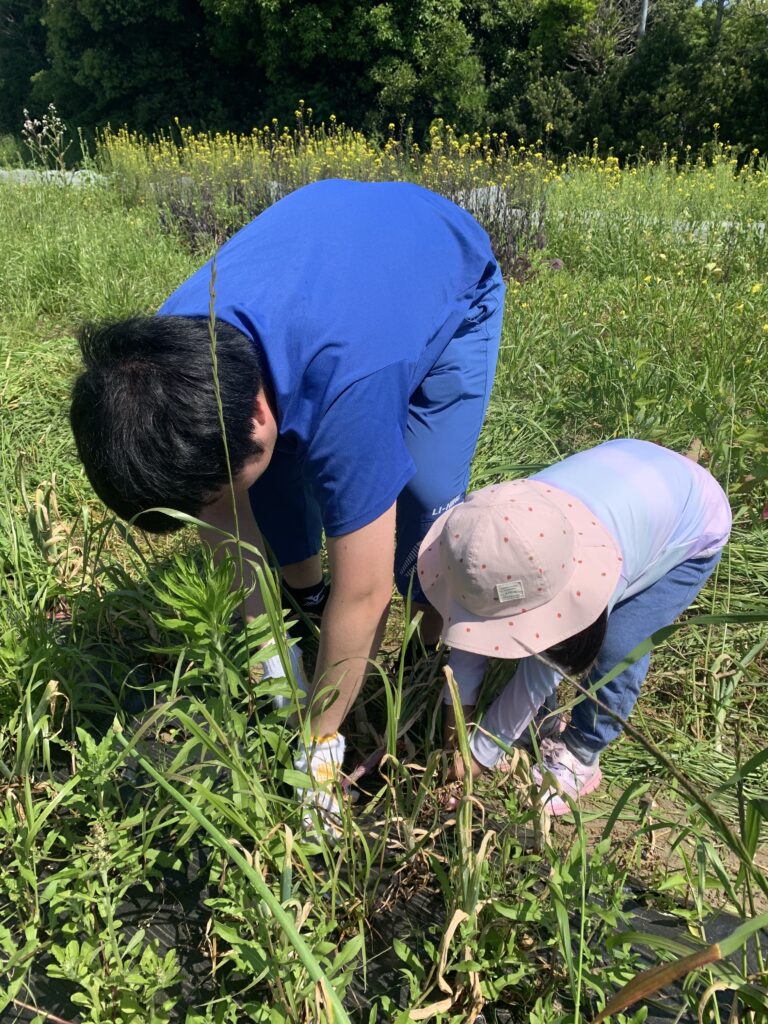 親子で農業体験